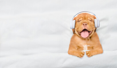 Poster - Happy Mastiff puppy wearing  headphones listening music on a bed at home. Top down view. Empty space for text