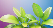 3d Render Of Green Lush Plant On Gradient Background Isolated Generative AI Illustration