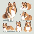 A Shetland Sheepdog Dog's Range of Emotions: A Collection of Canine Animal Moods and Feelings Captured Through Expressions and Reactions
