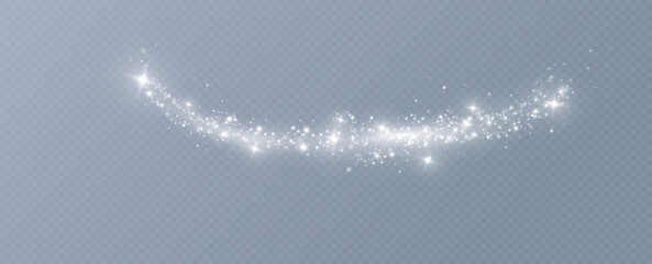 Poster - Light effect with glitter particles.Christmas dust.White sparks shine with special light.