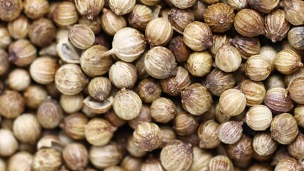 Poster - natural dried coriander in pea spins