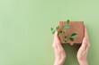 Woman hands holding cardbox from natural recyclable materials with green leaves sprout from above. Responsible consumption, eco friendly packaging, zero waste concept.