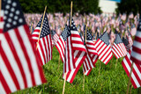 Fototapeta Sawanna - Hundreds of American flags planted on the lawn in America
