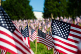 Fototapeta Sawanna - Hundreds of American flags planted on the lawn in America