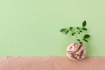 Sprout of small tree with green leaves growing from recycled craft paper top view. Eco, saving energy, zero waste, plastic free and environment conservation concept.