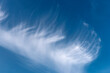 Eine zarte, vom Höhenwind ausgefranste, aus kleinen Eiskristallen bestehende Cirrruswolke vor blauem Himmel