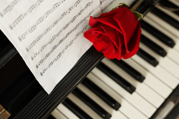 Sticker - Beautiful rose and musical notes on piano, above view