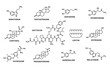 © Vector Tradition - Hormone formula. Medicine, chemistry and biochemistry science research line symbols, human man and woman hormones formulas. Oxytocin and leptin, thyroxine, progesterone and adrenaline atom structure