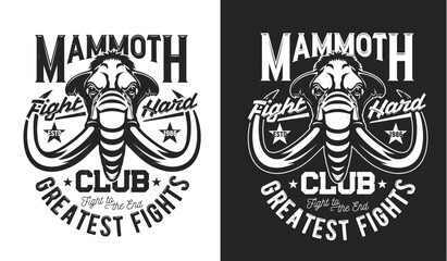 Wall Mural - Fighting club t-shirt print with mammoth mascot, martial arts sport team vector emblem. Strong aggressive mammoth animal with tusks, fight club badge for sport club sign with motto slogan