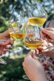 Fototapeta Kawa jest smaczna - Making a celebratory toast with sparkling wine. Female hands holding glasses of champagne. Birthday, holiday, party and friendship concept.