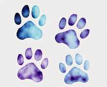 Dog Or Cat Foot Print Watercolor Ai Generated