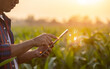 Farmer using digital tablet in corn crop cultivated field with smart farming interface icons and light flare sunset effect. Smart and new technology for agriculture business concept.