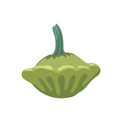 Wall Mural - Green pattypan squash vector illustration. Cartoon drawing of farm harvest vegetable on white background. Farming, autumn, harvest, Thanksgiving concept