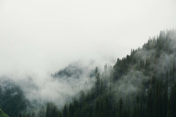  fog in the mountains