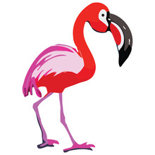 Flamingo Png Clipart