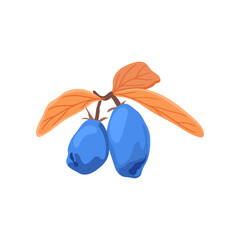 Wall Mural - Honeysuckle branch with blue berries flat vector illustration. Cartoon drawing of seasonal autumn bush with orange leaves and berries on white background. Autumn or fall, season, flora concept
