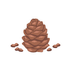 Wall Mural - Brown pinecone with seeds flat vector illustration. Cartoon drawing of seasonal autumn pine cone on white background. Autumn or fall, season, flora concept