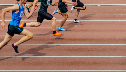 Wall Mural - group athletes runners run sprint race