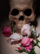 Human Skull And Beautiful Pink Roses, Gothic Style, Dark Romance.