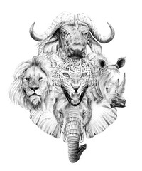 Canvas Print - Big african five animal. Hand drawn illustration. Collection of hand drawn illustrations