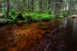 © EriksZ - A small forest stream with sandstone outcrops, ligatne