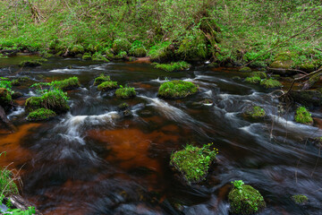 Canvas Print - A small forest stream with sandstone outcrops, ligatne