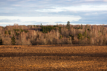 Sticker - Cultivated crop fields in the spring