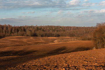 Wall Mural - Cultivated crop fields in the spring