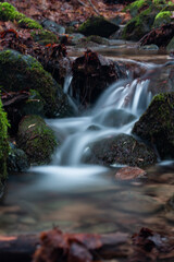 Wall Mural - A small forest stream with sandstone outcrops