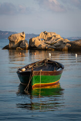 Wall Mural - Summer Mediterranean landscapes around Sardinia