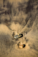 Wall Mural - Creative beach sand with small stones