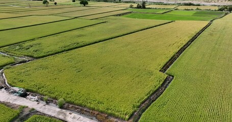 Poster - Top view of Waipu rice field in Taichung