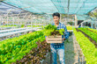 © M+Isolation+Photo - smart young Asian farmer records the quality and quantity of an organic hydroponic vegetable garden.