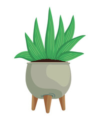 Canvas Print - houseplant in gray pot