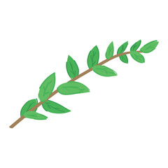 Beautiful spring tree branch on white background