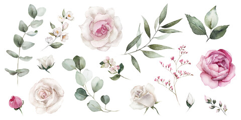 Wall Mural - Watercolor floral illustration elements set - green leaves, pink peach blush white flowers, branches. Wedding invitations, greetings, wallpapers, fashion, prints. Eucalyptus, olive, peony, rose.