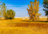 Fototapeta Las - Fall Color on The Castle Trail,  Badlands National Park, South Dakota, USA