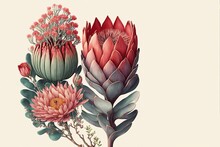 Watercolour Abstract Clip-art Of Protea Flower. Pink Protea. Set Of Exotic Flowers On A Creamy Background. For Wedding Invitation Cards Scrapbooking Posters  Planners, Web, Landing Page, Wallpaper