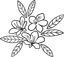 ツツジの花と葉っぱの線画のイラスト