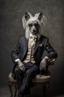 formal portrait of a chinese crested dog wearing sunglasses in fancy clothing, generative ai