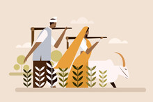 Illustration Of An Indian Farmer And Wife Walking With A Bullock Through The Agricultural Farm