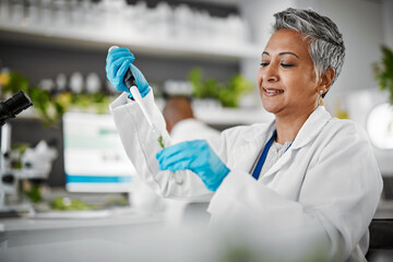 Wall Mural - plants, test tube and scientist woman with research, exam and solution for leaves in laboratory, eco