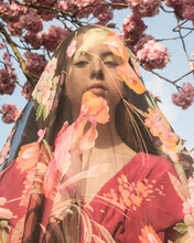 Abstract Fine Art Spring Portrait Of Woman Covered By Thin Floral Veil And Cherry Blossom Tree In Background