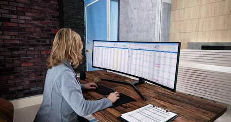 Poster - Data Analyst Woman Using Spreadsheet