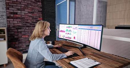 Poster - Business Data Audit Spreadsheet