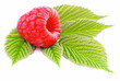Sweet raspberry isolated on white background. Fresh berries with green leaves.