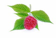 Sweet raspberry isolated on white background. Fresh berries with green leaves.
