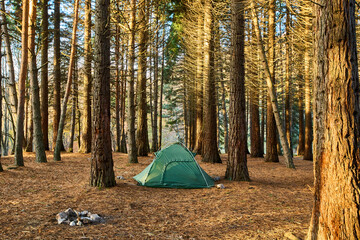 lonely tourist tent in the autumn picturesque forest. self-isolation in nature. tourism concept. daw