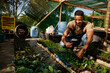 © StratfordProductions - Young black man in apron crouching by plants while examining leaf in plant nursery