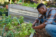 © StratfordProductions - Profile view of happy young black man in checked shirt crouching while gardening in garden center